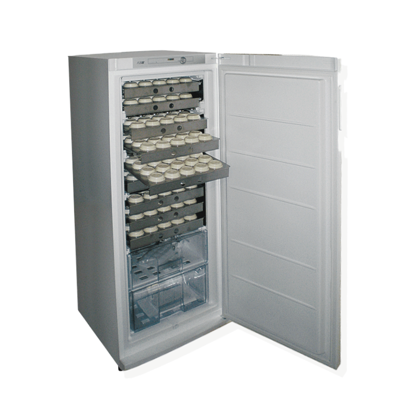 Rückstell Tiefkühlschrank