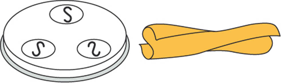 Pasta-Scheibe Ø 57 mm Casreccie - für MPF 2,5 und MPF 4