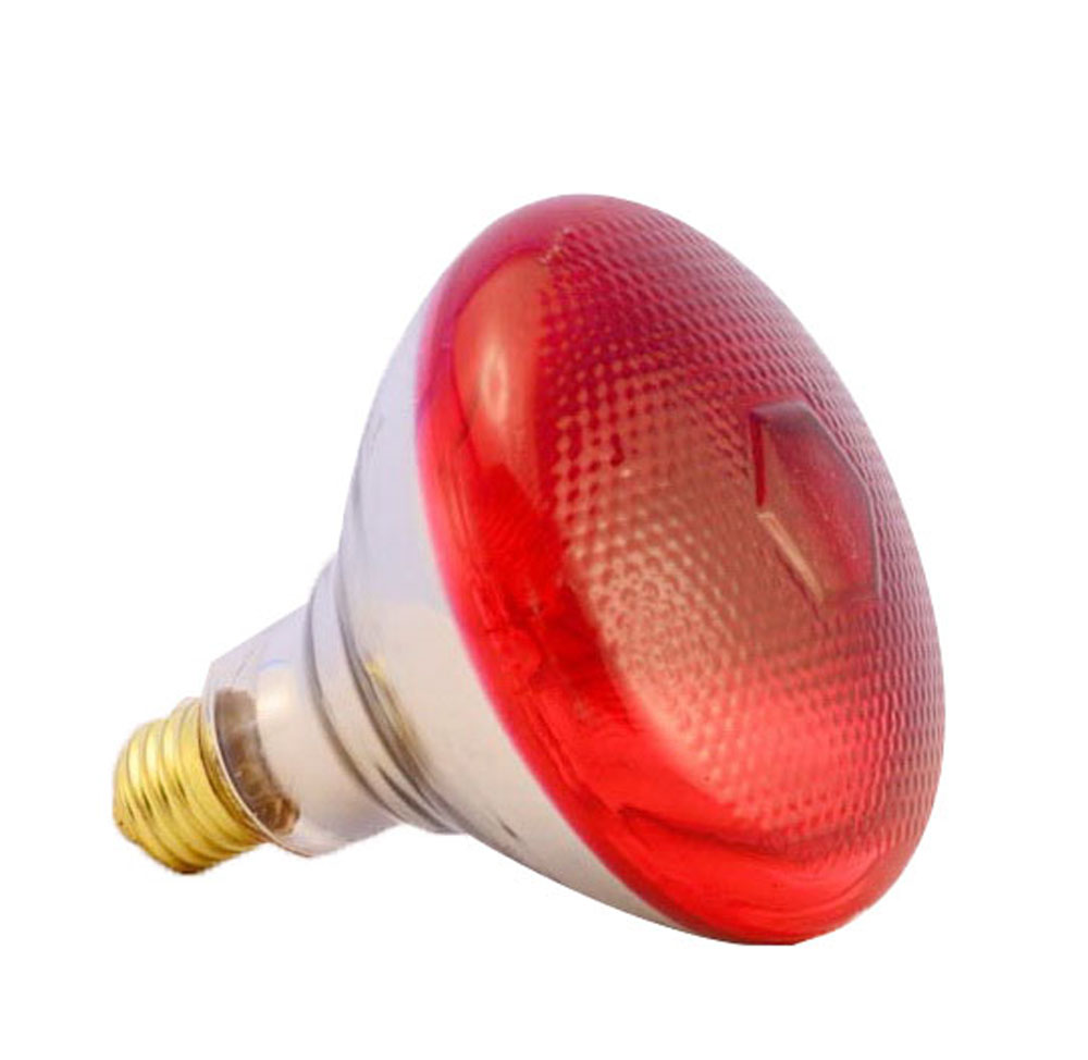 PROFIKOCHER 132299 Infrarotlampe