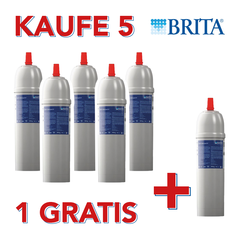 Brita PURITY C 1100 Quell ST Wechselkartusche 1012446 5+1 Aktion
