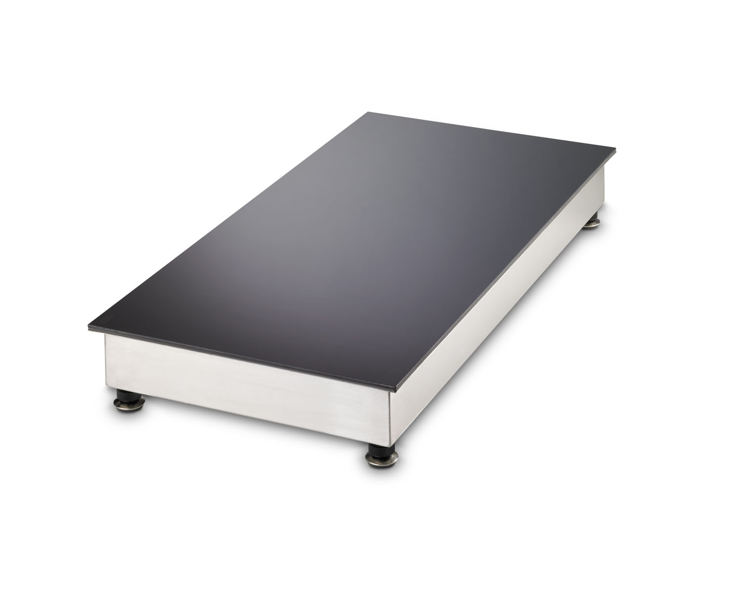 Auftisch Induktions Warmhaltegerät CNS 2 Zonen