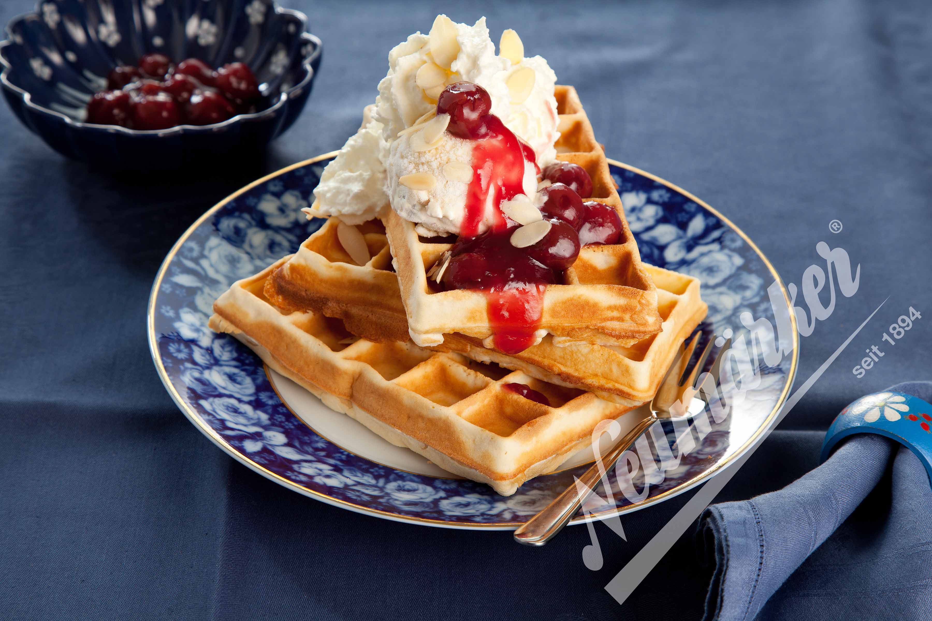 Neumärker Brüsseler Waffel Wechselplatten für Thermocook® (Gusseisen antihaftbeschichtet)