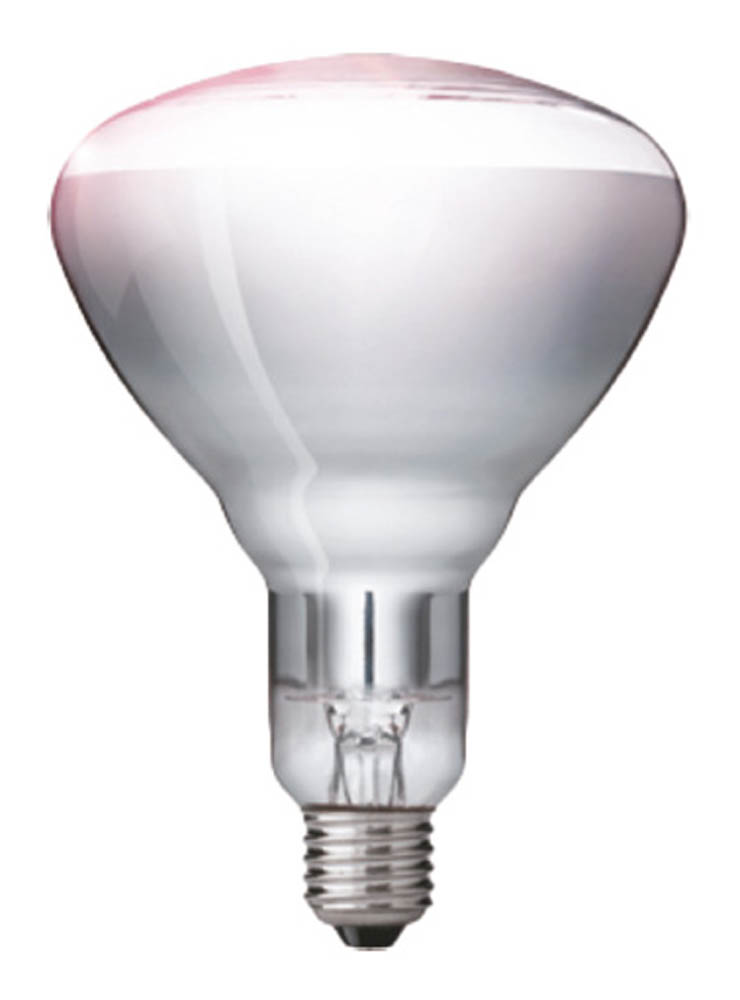 Leuchtmittel für Wärmeleuchten Neumärker 04-10552-00